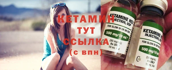 шишки Верхний Тагил