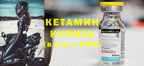 шишки Верхний Тагил