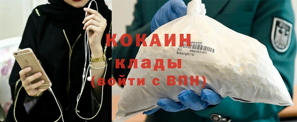 хмурый Верея