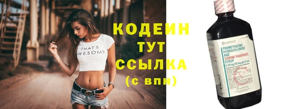 хмурый Верея