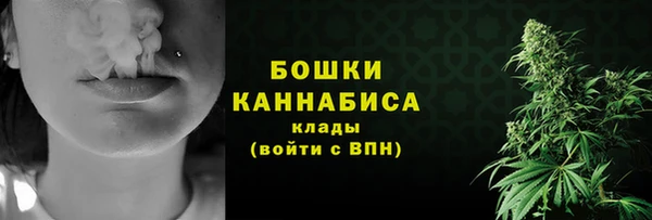 шишки Верхний Тагил