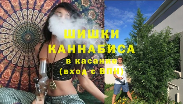 шишки Верхний Тагил