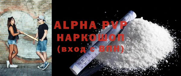 хмурый Верея