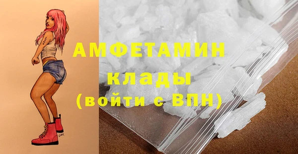 шишки Верхний Тагил
