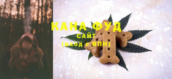 шишки Верхний Тагил